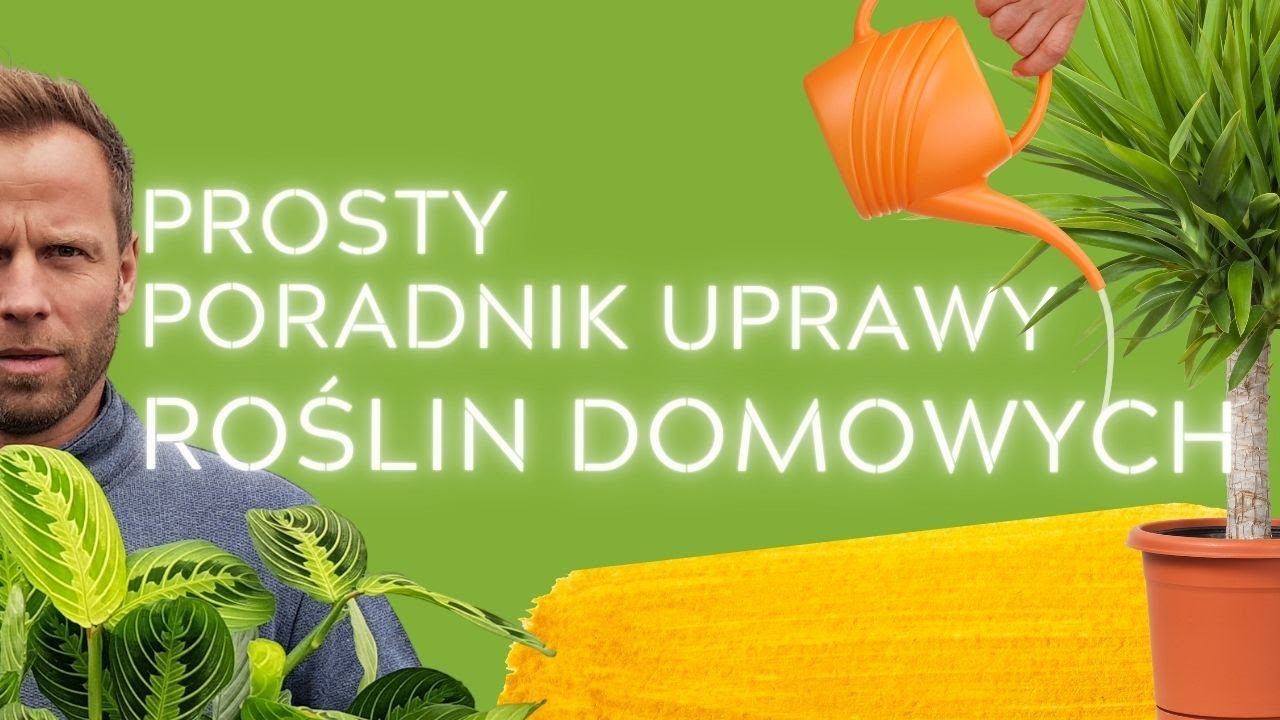 SEKRETY ŁATWEJ UPRAWY ROŚLIN DOMOWYCH🌿 Podstawy pielęgnacji kwiatów doniczkowych🌿