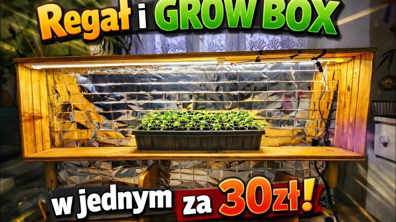 Regał i grow box  w jednym za 30zł