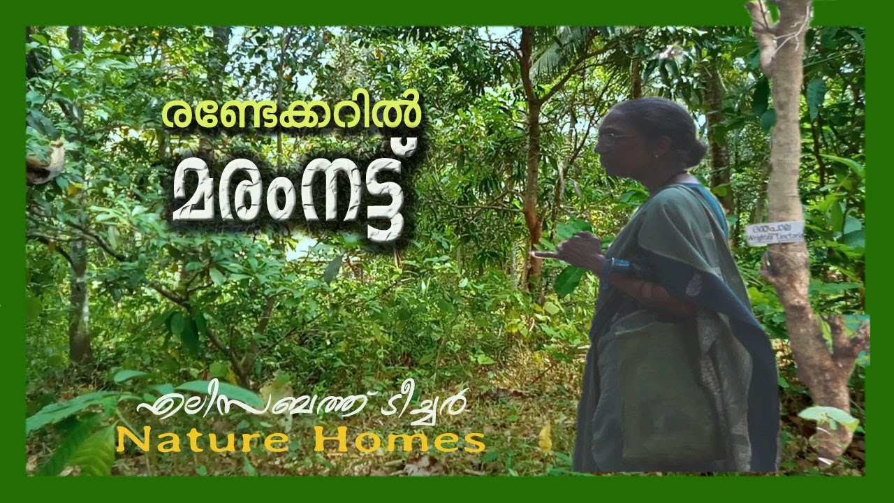 രണ്ട് ഏക്കറിൽ മരം നട്ട് എലിസബത്ത് ടീച്ചർ / Nature home / Nature life