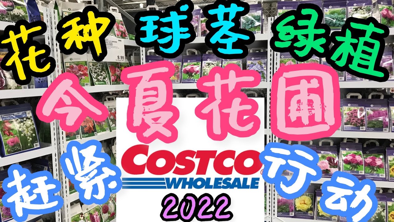 Costco 花卉2022年三月份花卉上市了
