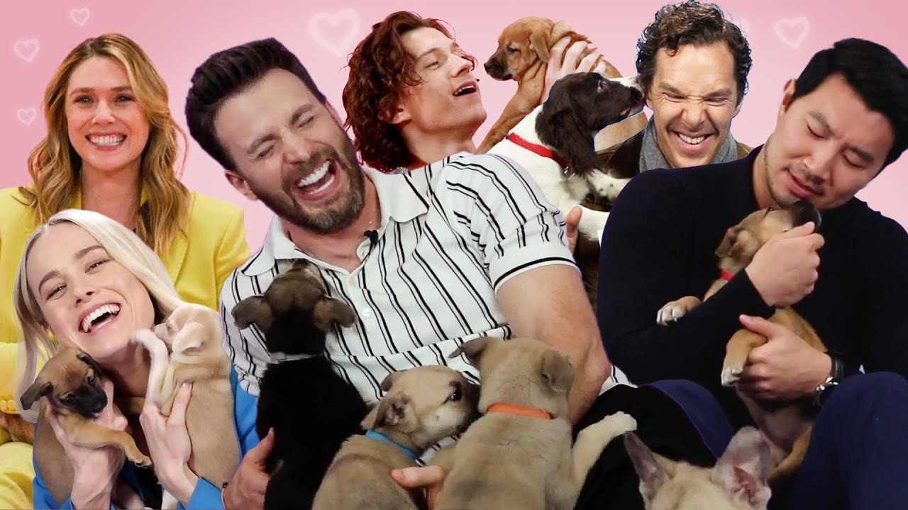 Only True Marvel Fans Will Enjoy These Puppy Interviews
