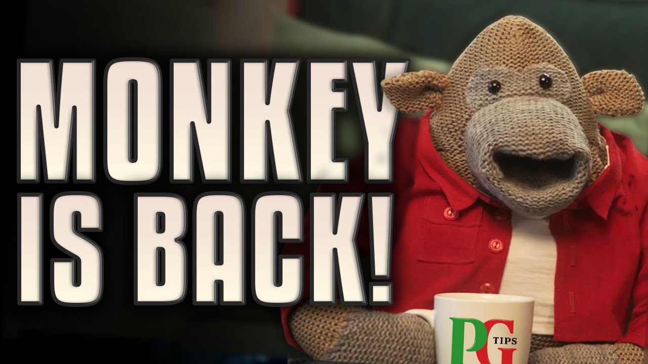 The PG Tips Monkey Has Returned! | Some Boi Online