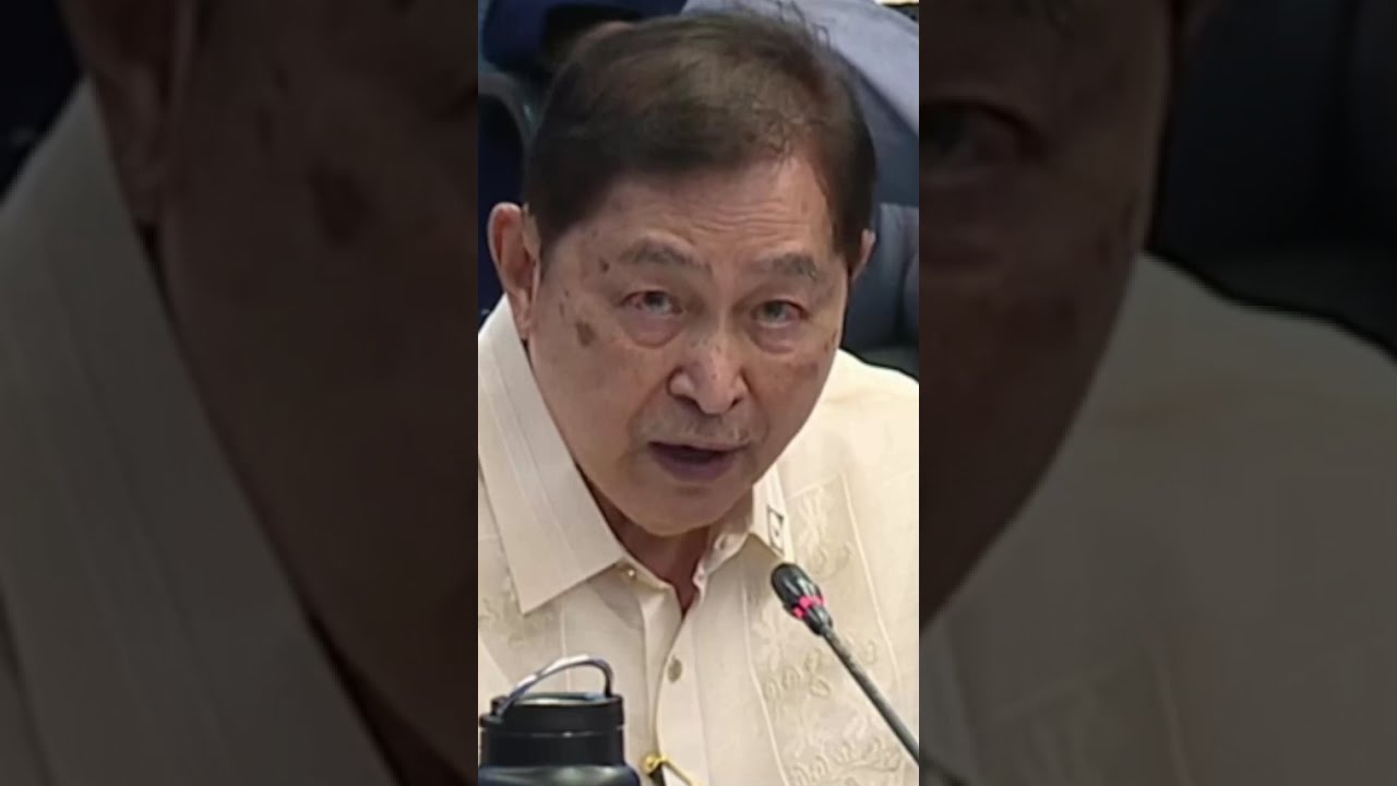 Adolfo Azcuna asked if the constitution is perfect #SaraDuterte #saraimpeachment