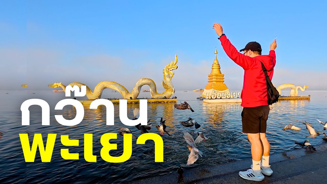 เที่ยวพะเยา แอ่วกว๊านพะเยา ม่วนใจ๋ล่องเรือวัดติโลกอาราม ดูแข่งเรือประจำปี งามดอกไม้งามเมืองพะเยา