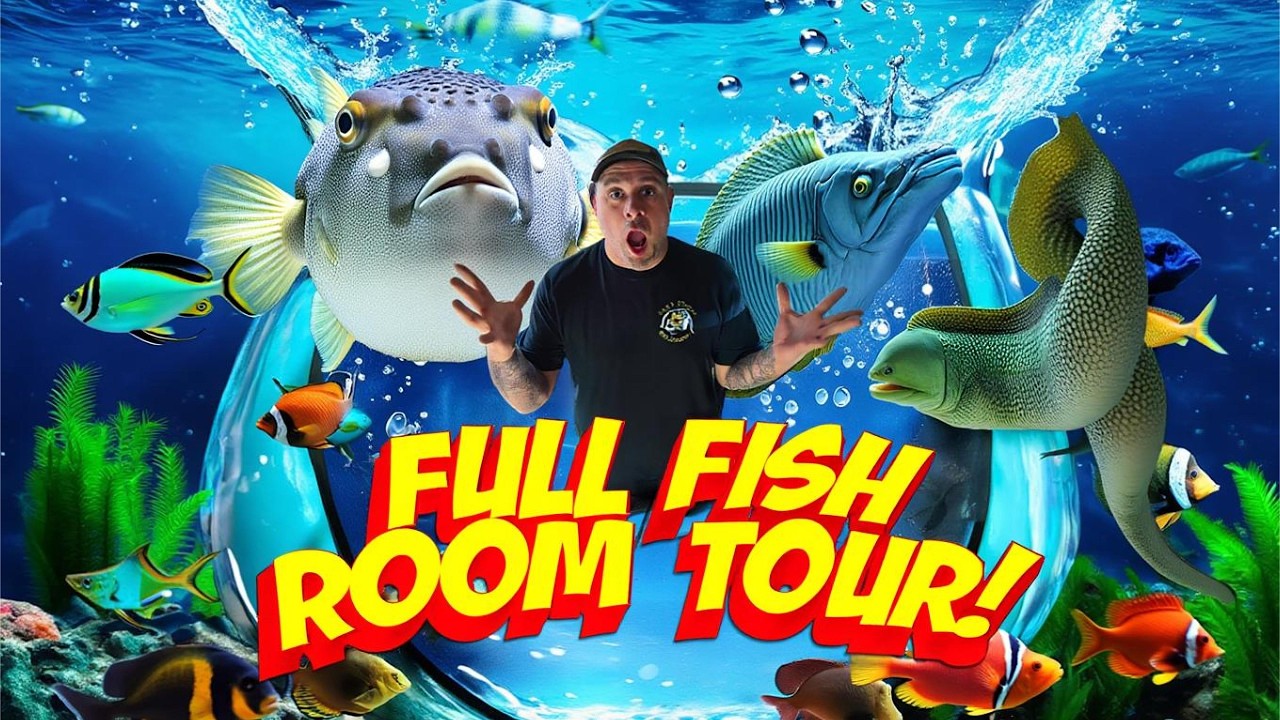 FULL FISH ROOM TOUR 2026! From 40 Gallons to 900 GALLONS 🐟🔥