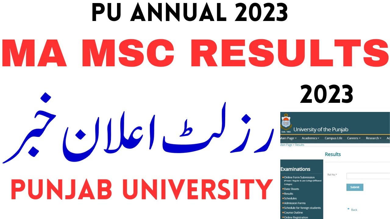 MA MSc Results 2023 PU