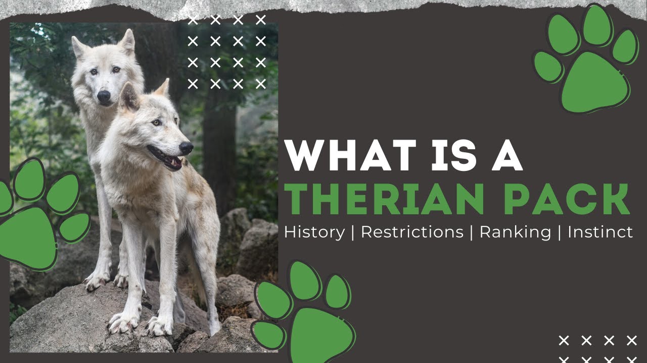What Are Therian Packs? || History, Human Instinct, Ranking, ...