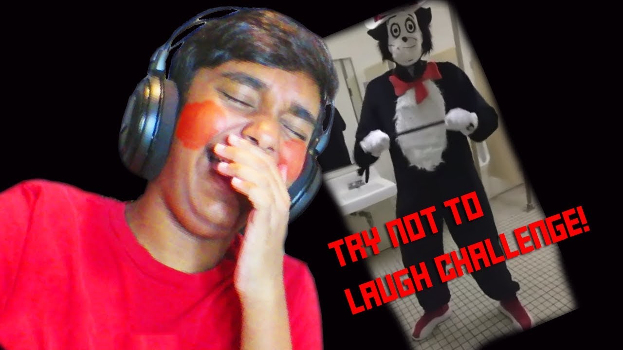 THE FIRST TRY NOT TO LAUGH CHALLENGE IN THIS CHANNEL! (Youtube Haiku, Poetry, Memes)
