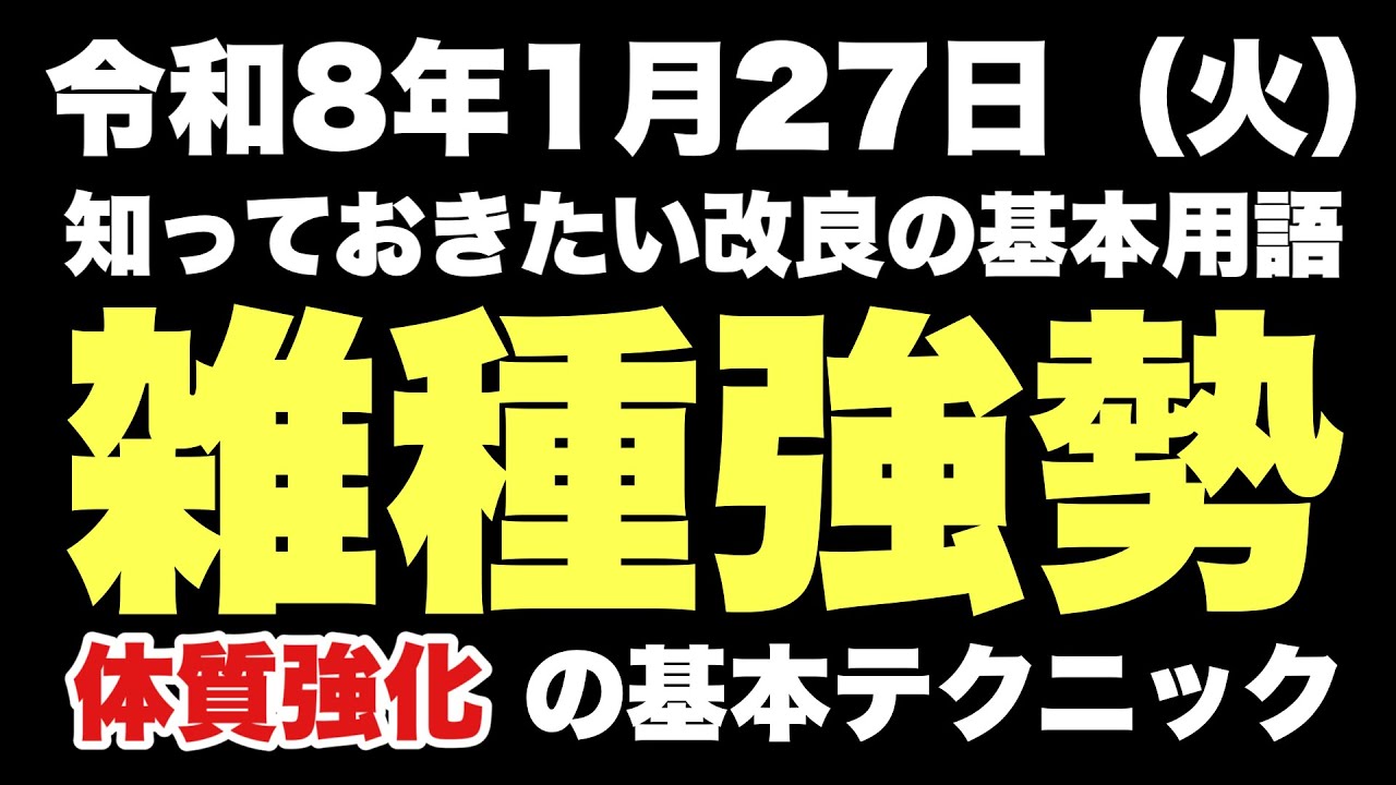 【めだか】改良メダカ〝雑種強勢〟体質強化の基本テクニック…2026.1.27