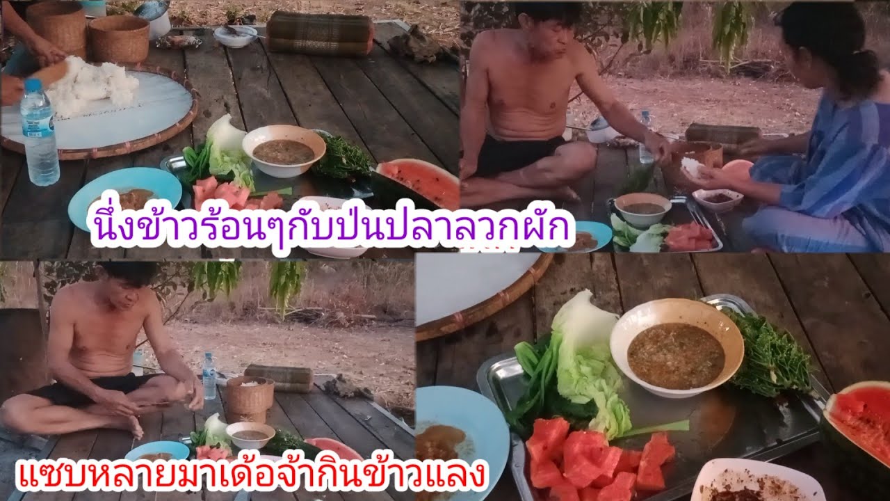 แซบหลายป่นปลาทูกับลวกผัก!!กับข้าวเย็นลุงเสือป้าสา