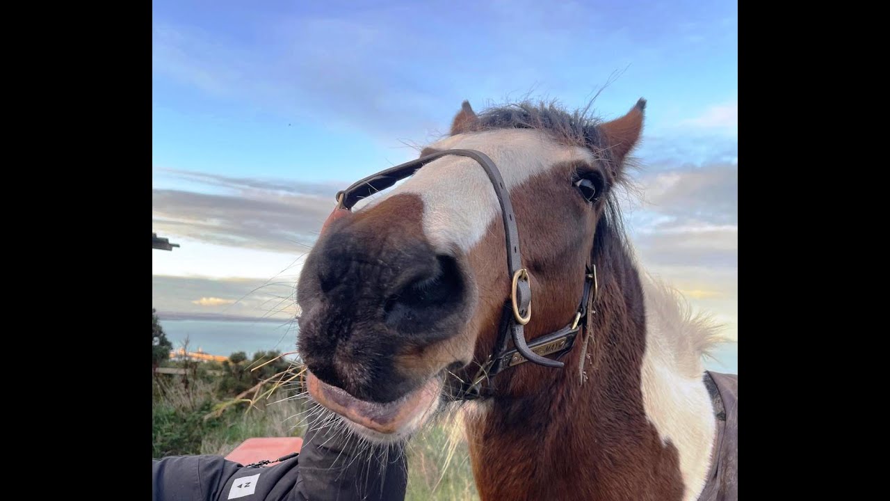 Rosebud wears lipstick