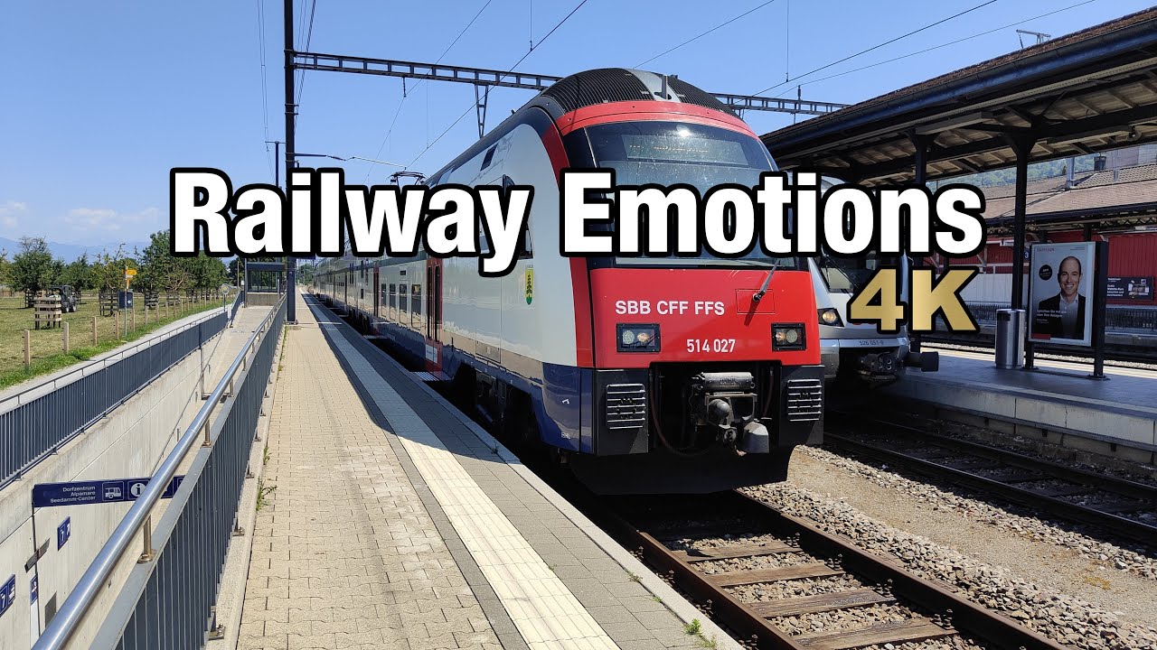 🚆 4K Cab ride through the canton of Zurich on a hot day (Switzerland | S8 Winterthur - Pfäffikon SZ)