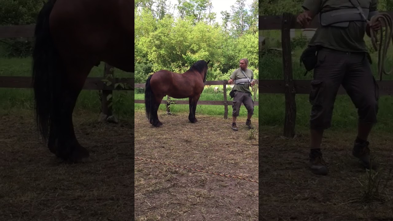 Olda Novák: vytyčení si prostoru