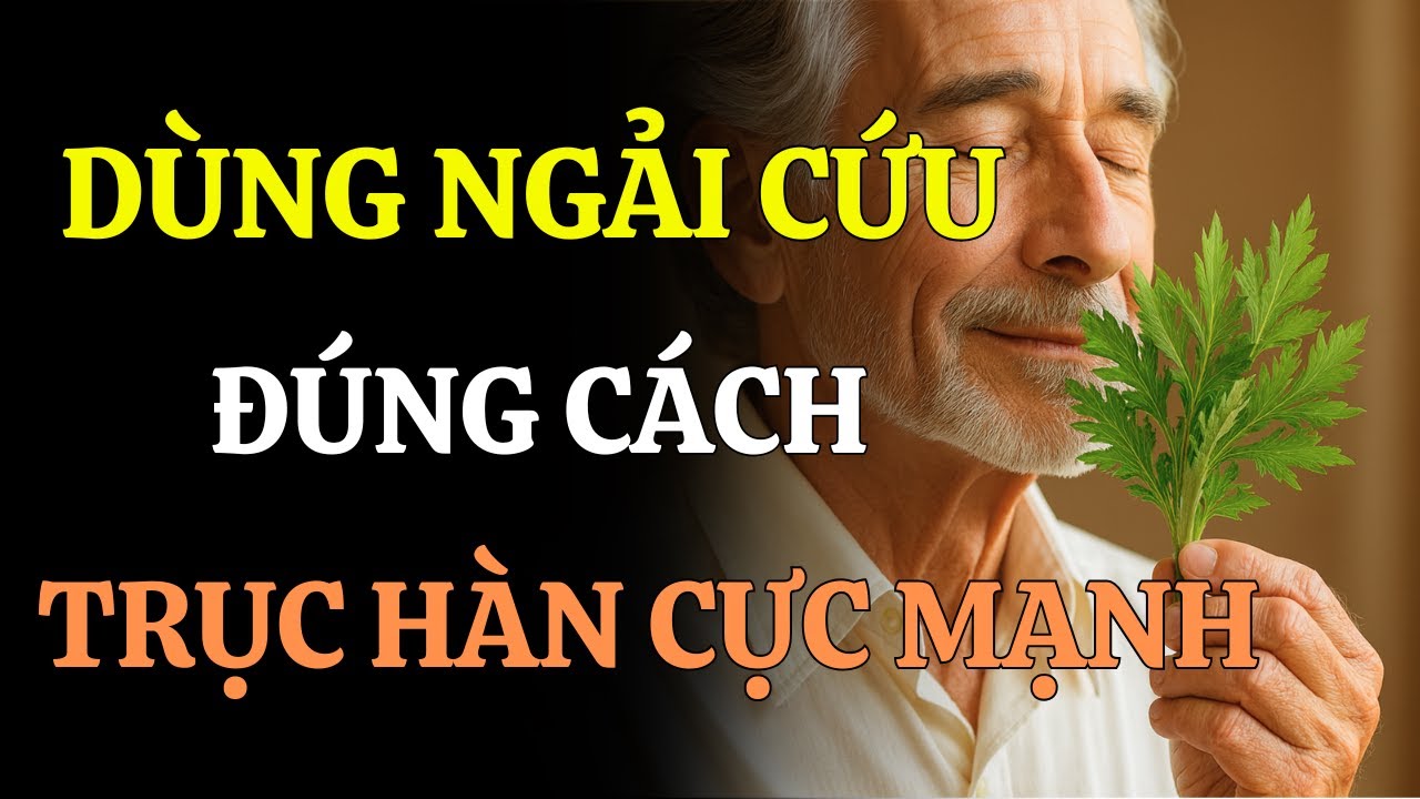 BÍ QUYẾT TRỤC HÀN KHÍ BẰNG NGẢI CỨU – MỘT CÂY THUỐC, MỘT PHÉP TRỊ LÂU BỀN