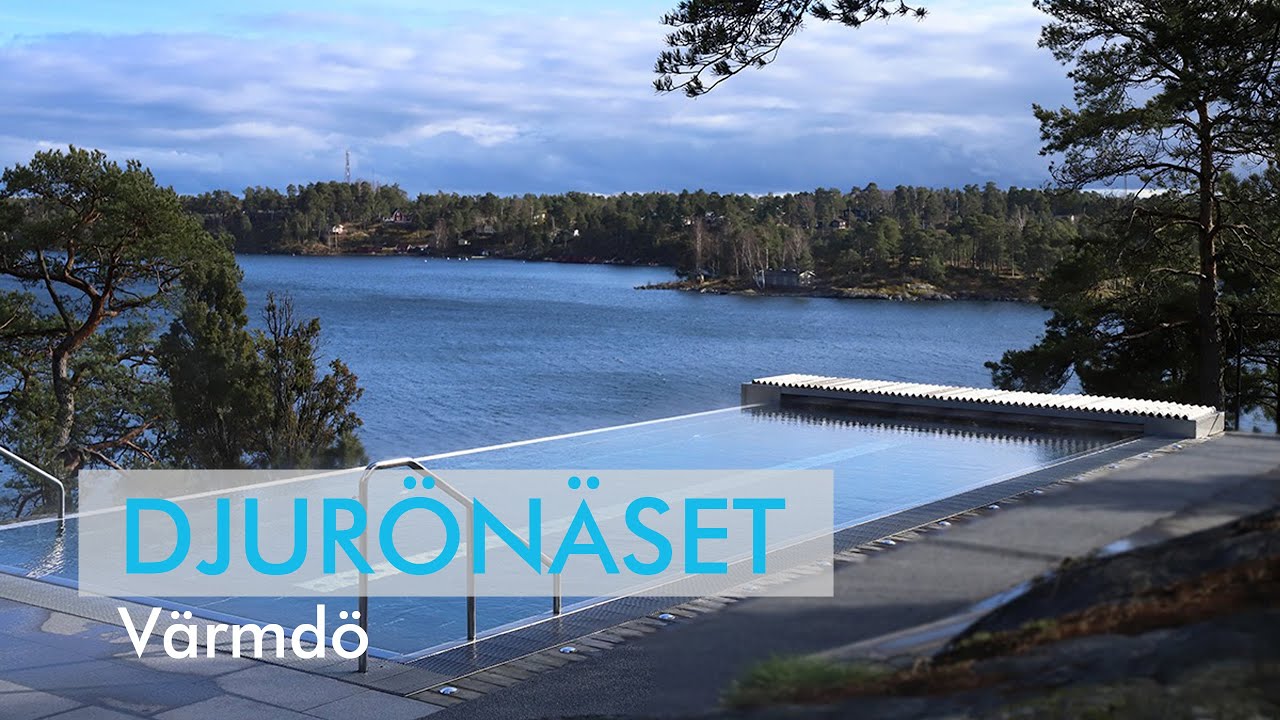Hur infinitypoolen blev den mest nyttjade delen av spat hos Djurönäset