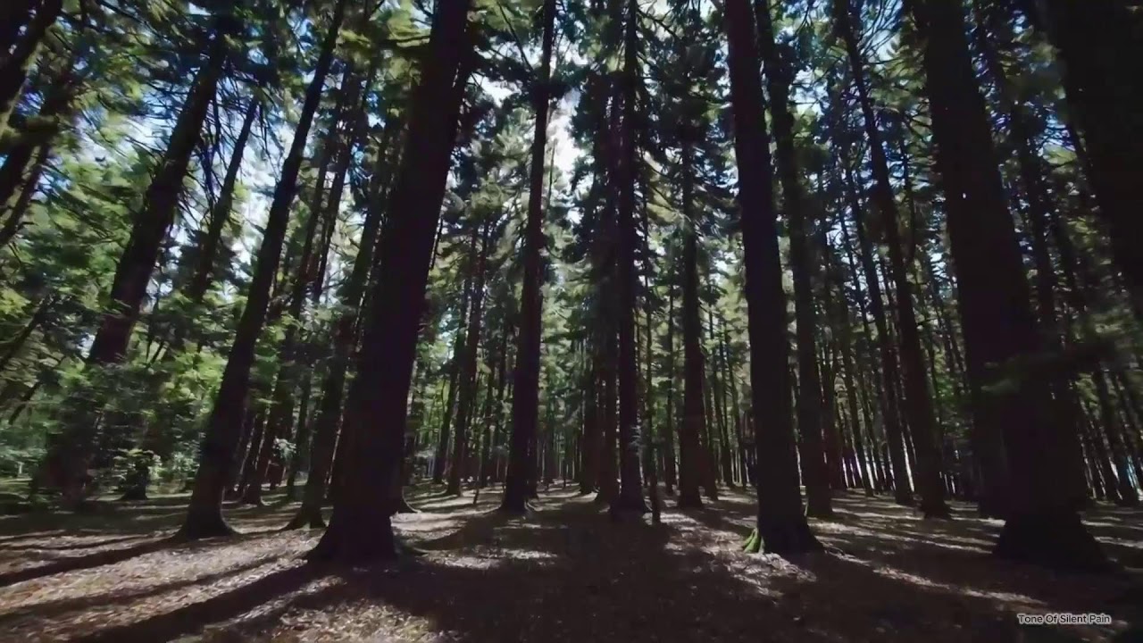 Piano Instrumental , calm, melancholic sleep ASMR music - Relax / Sad / #classicalmusic