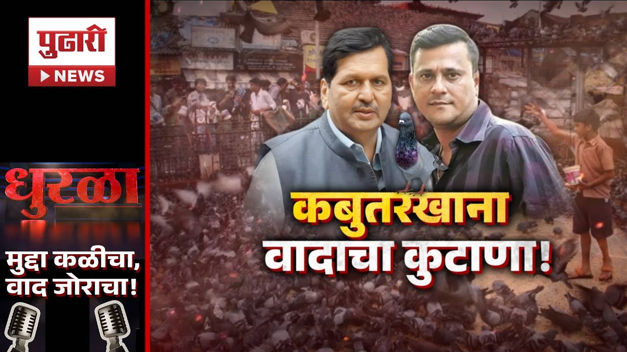 Pudhari dhrula  | अती माणसाळल्यामुळे कबुतरं धोकादायक? #kabutarkhana #dadarkabutarkhana