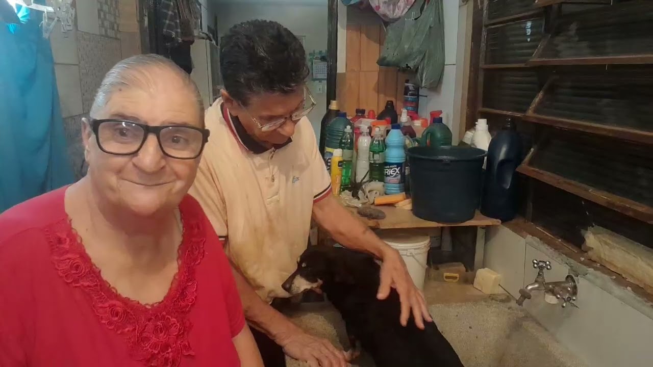 VOVÓ E VOVÔ LAVANDO OS  CACHORRINHOS 