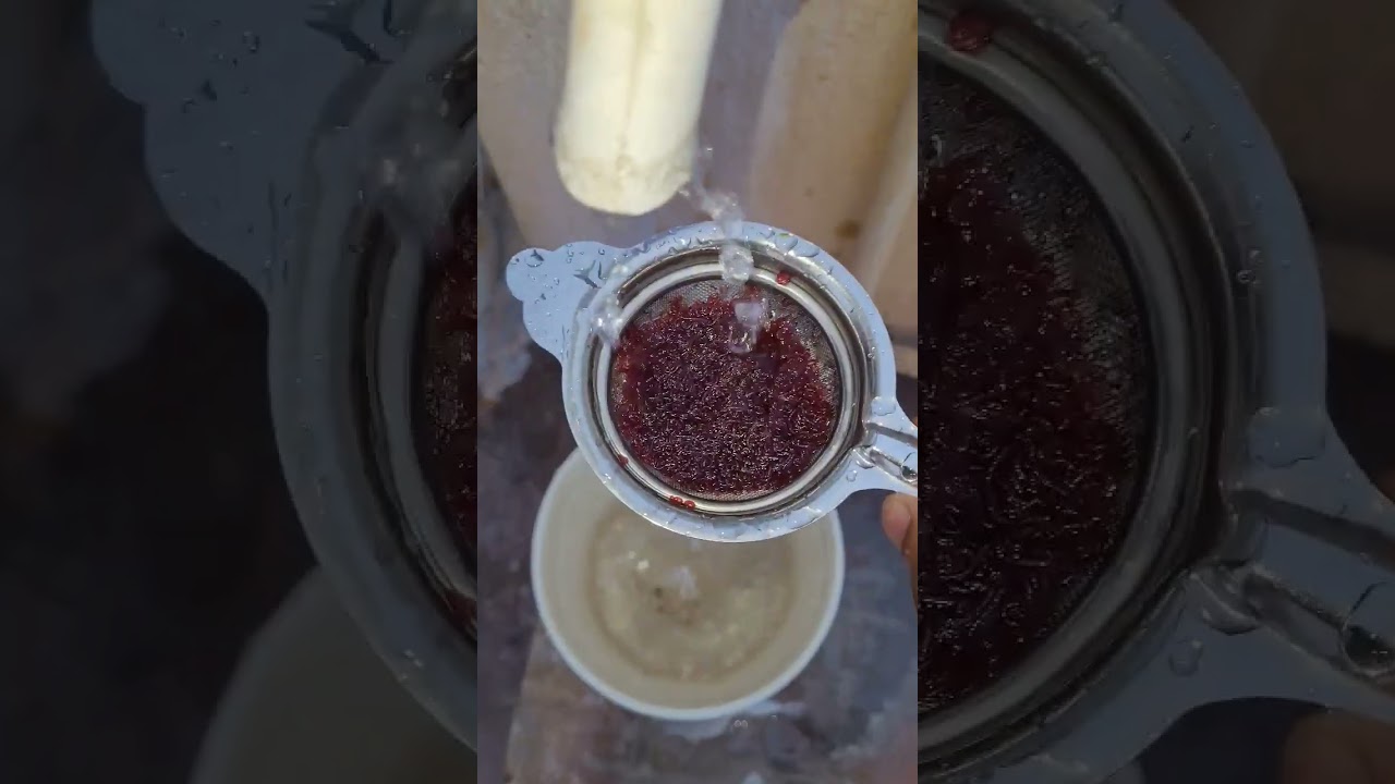 How to store Live Bloodworms|Shorts|DIY|Bloodworms for betta fish
