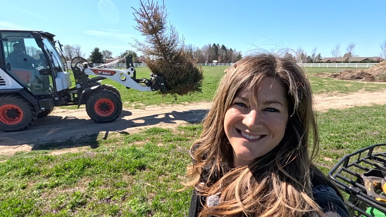 Seedling Tour, Planting & Removing Spruce Trees + Weeding! 🌱🌲🪓 // Garden Answer
