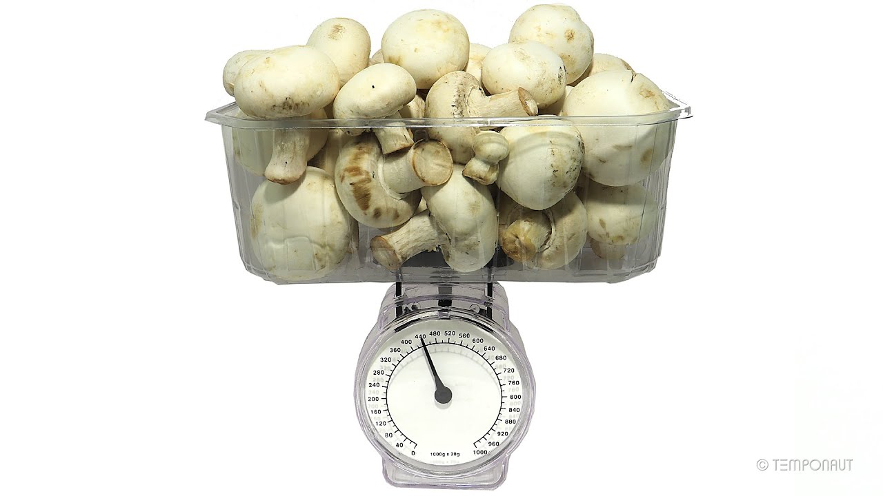 Champignon Mushrooms on Scale Timelapse