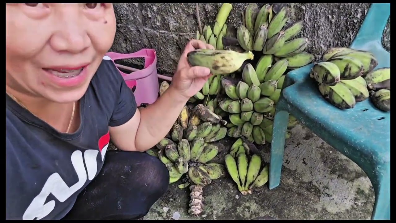 Nasayang ang ibang saging kinain lang ng mga ibon