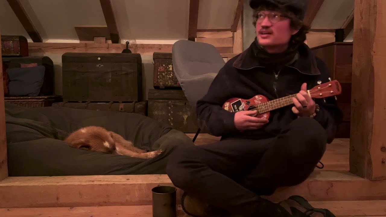 flightless bird, american mouth by Iron & Wine (cover)