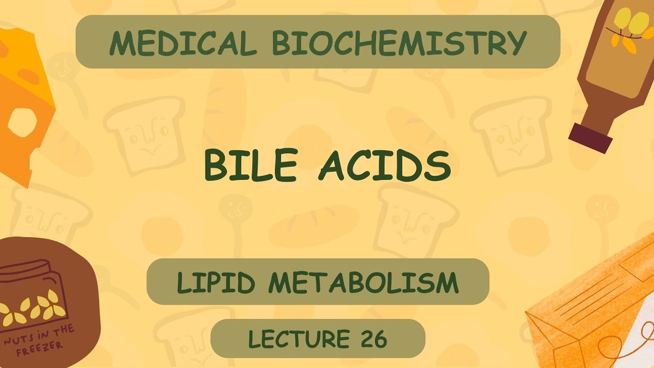 Lecture 26 | Bile acids