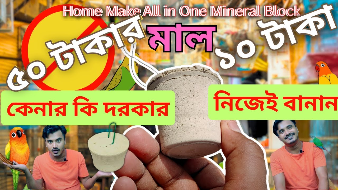 All in One Natural Block Made At Home | দশ টাকায় তৈরি করুন পাখির ব্লক | Minarel Block For Birds