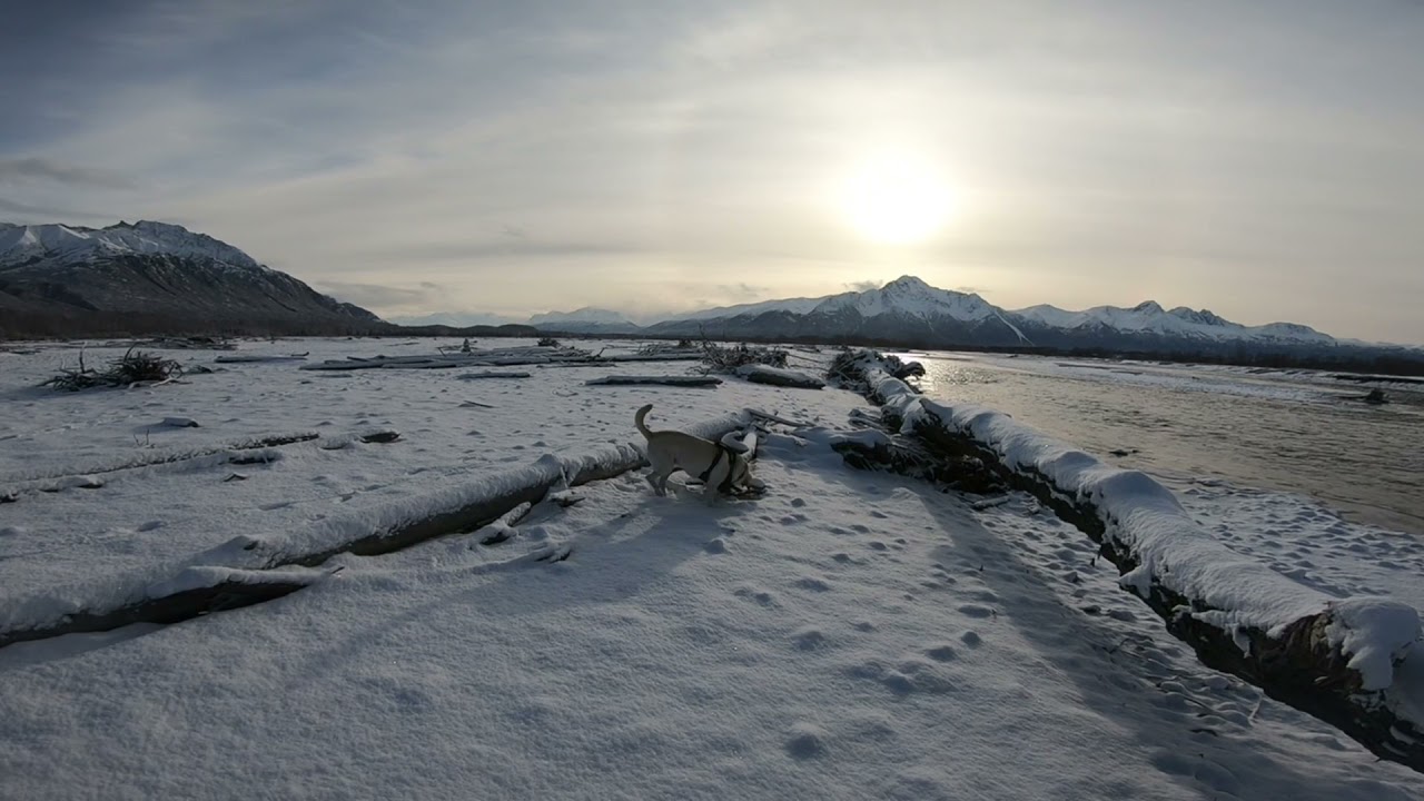 Matanuska River Hike