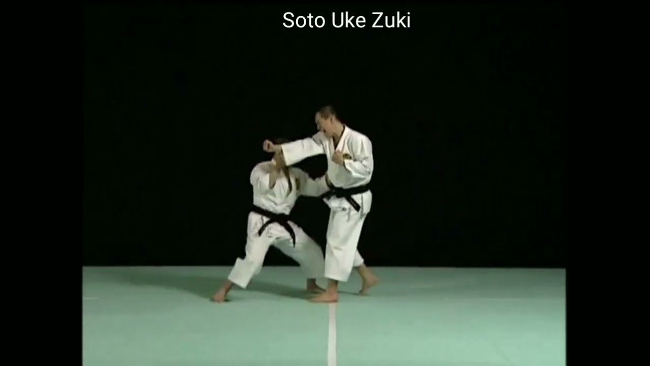Soto Uke Zuki | Uchi Age Uke Zuki | Shorinji Kempo Technic ‼️