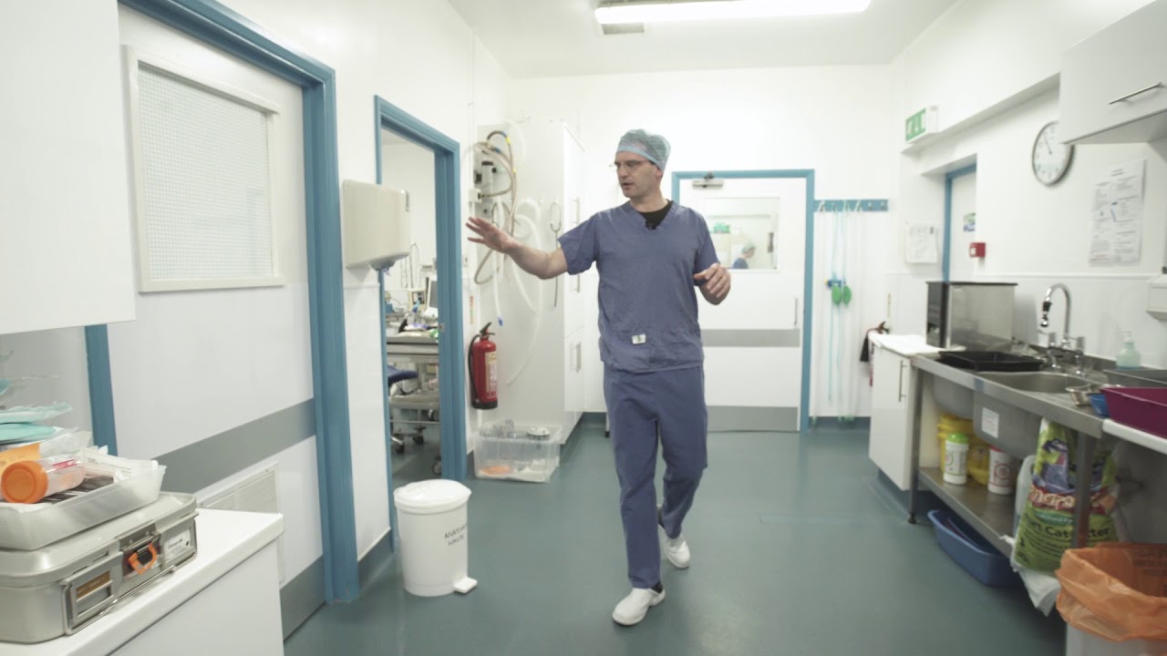The Theatres at Davies Veterinary Specialists