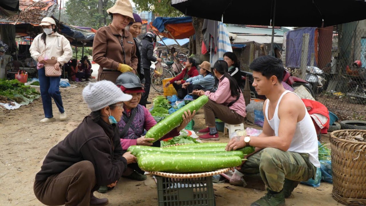 Harvesting homegrown, organically grown gourds and bringing them to the market to sell.