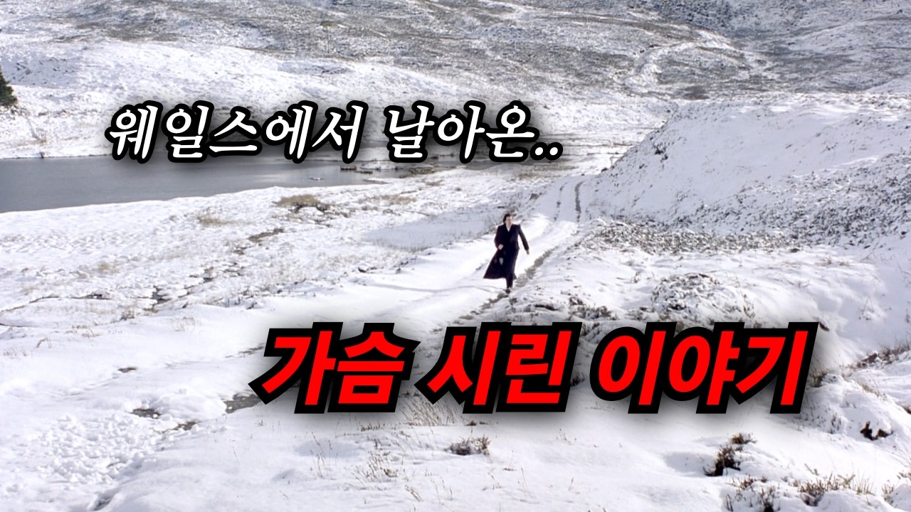 영화가 끝난 뒤.. 한동안 먹먹해지는 작품 (결말포함)