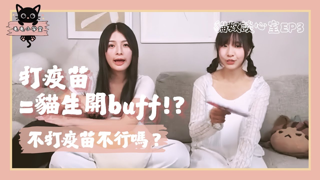 拯救高速公路吐血的小寶貝！該如何給我的寶貝們最好的照顧？帶浪浪回家ＳＯＰ大家知多少？｜貓奴談心室EP03