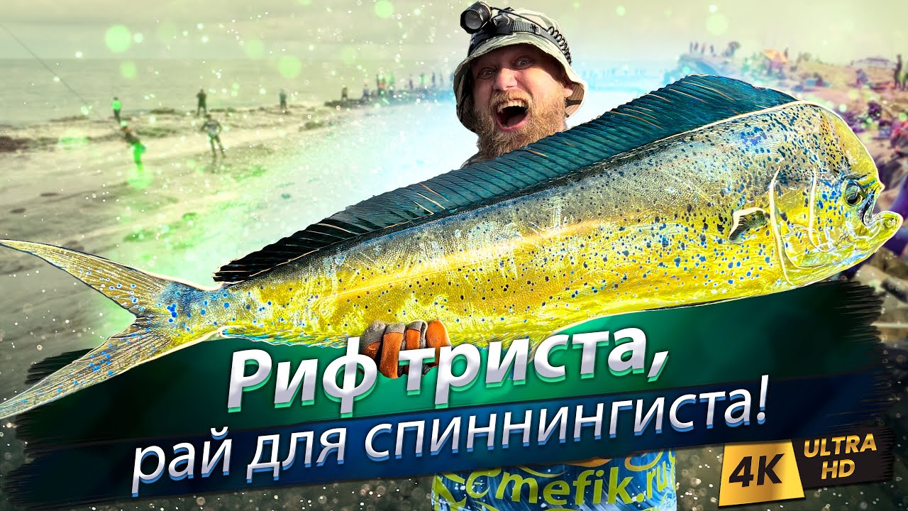 🇹🇼 Это самая зрелищная океаническая береговая рыбалка!