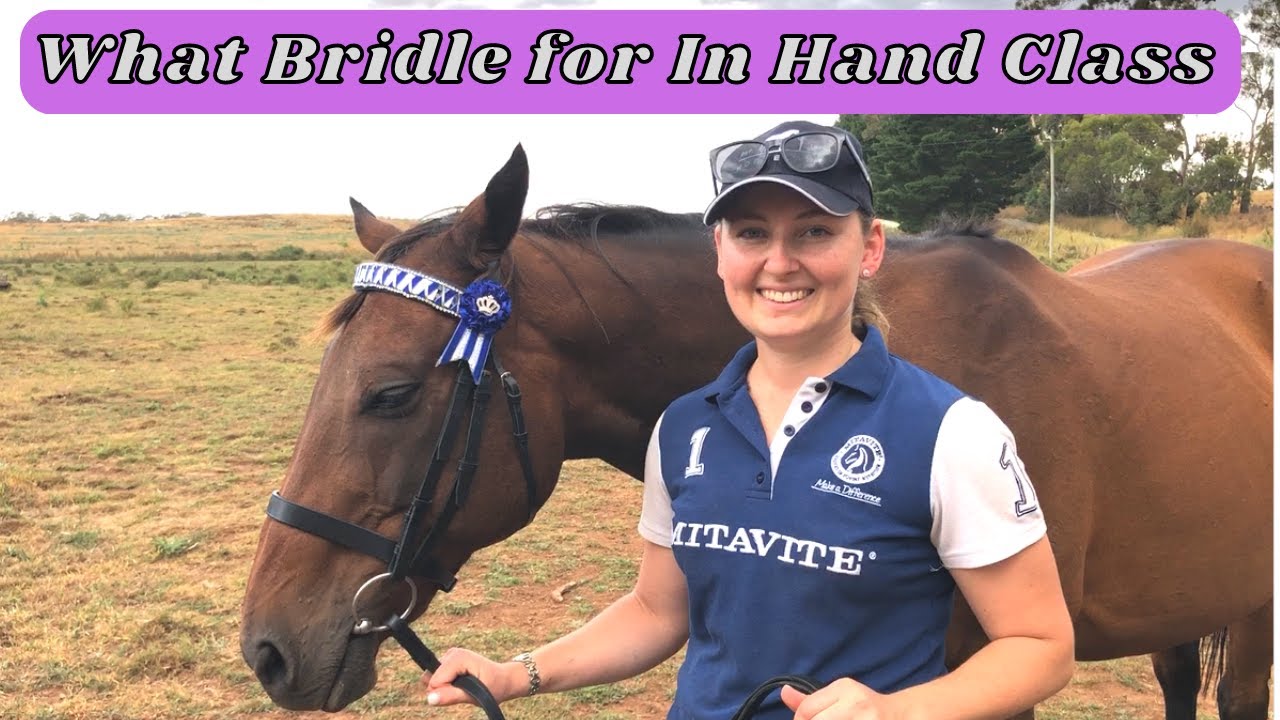 What Bridle to use for In Hand Class at a Horse Show | Horse Show Preparation Tips for Beginners