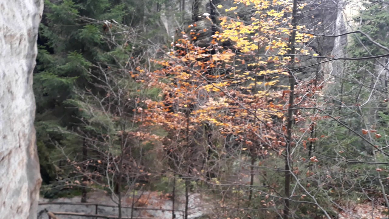20181101 141558