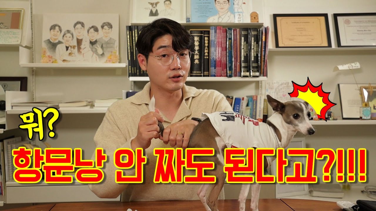 항문낭 완전정복!(주기/짜는방법/항문낭염/소형견 대형견 항문낭관리)