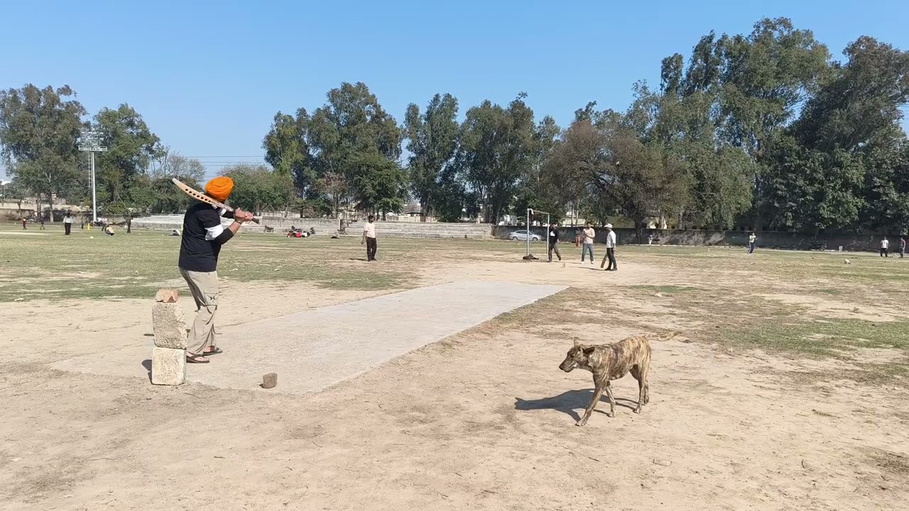 Sunday 8 feb match #cricket #cricketlover #youtube #ytshorts #youtube #shorts #short #trending 