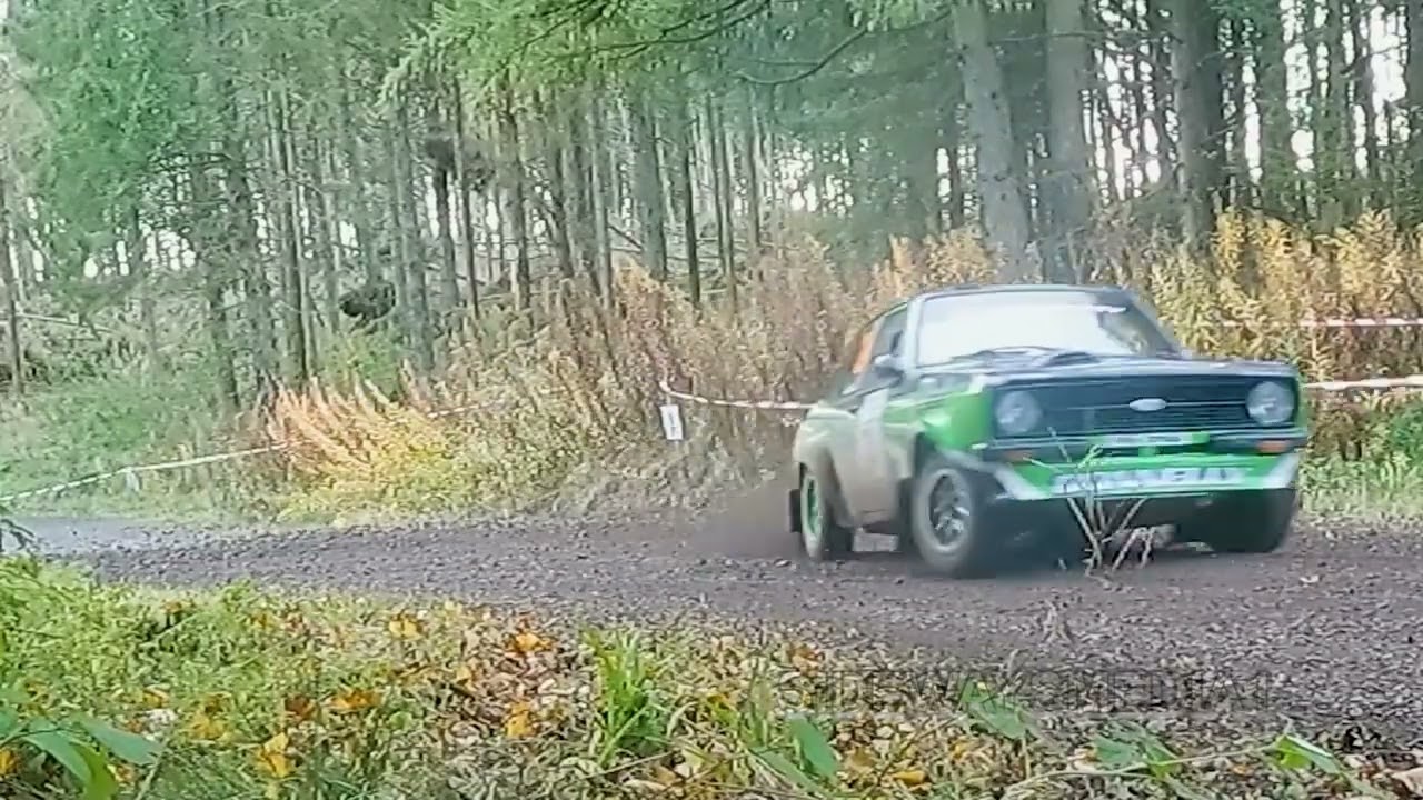 Dogleap Stages Rally 2024 (HD)