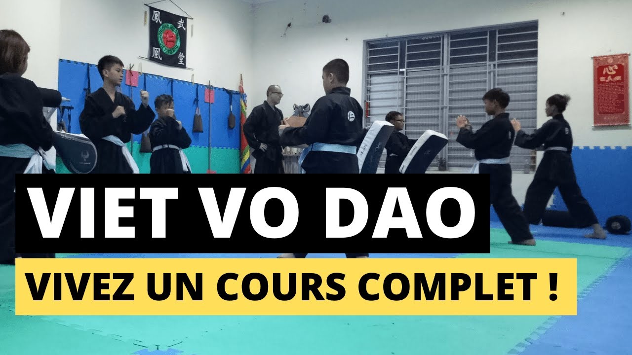 VIET VO DAO DÉMONSTRATION ARTS MARTIAUX ENFANTS