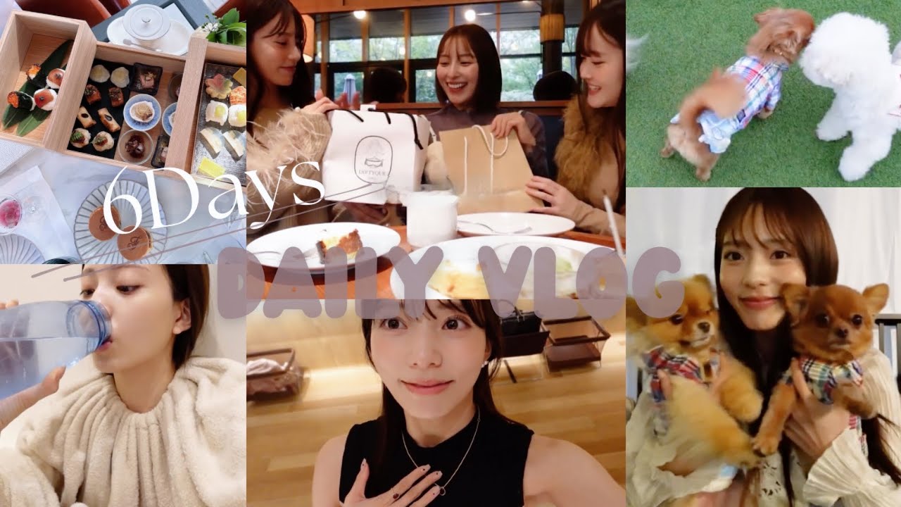 【秋の6日間VLOG】都内ドッグラン | お誕生日会 | アフヌンetc...｜よもぎ蒸しで大人女子会も🫖🐕