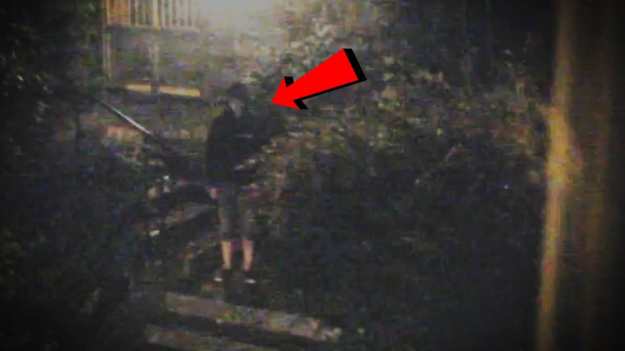 6 Most Disturbing Backyard Encounters Caught on Camera