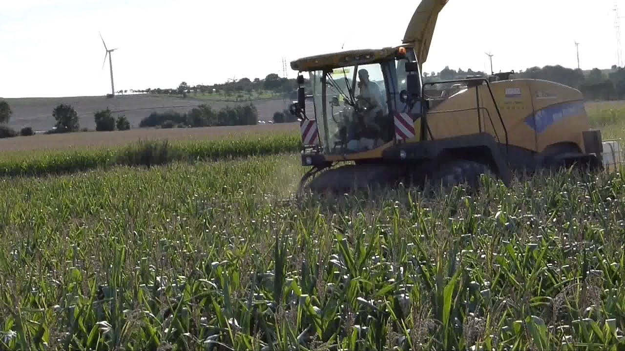 ENSILAGE MAÏS 2015 - 100% NEW HOLLAND - NEW New Holland T7.230 Tier4Final, FR9050, ...