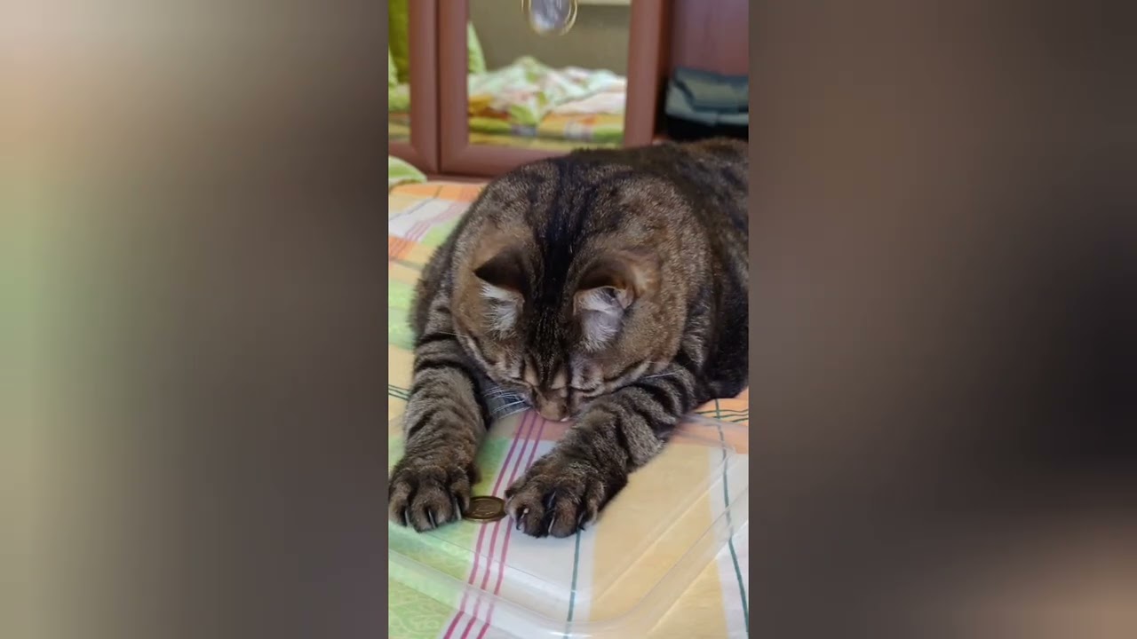 Среда не пятница 🤔😉🤣😻