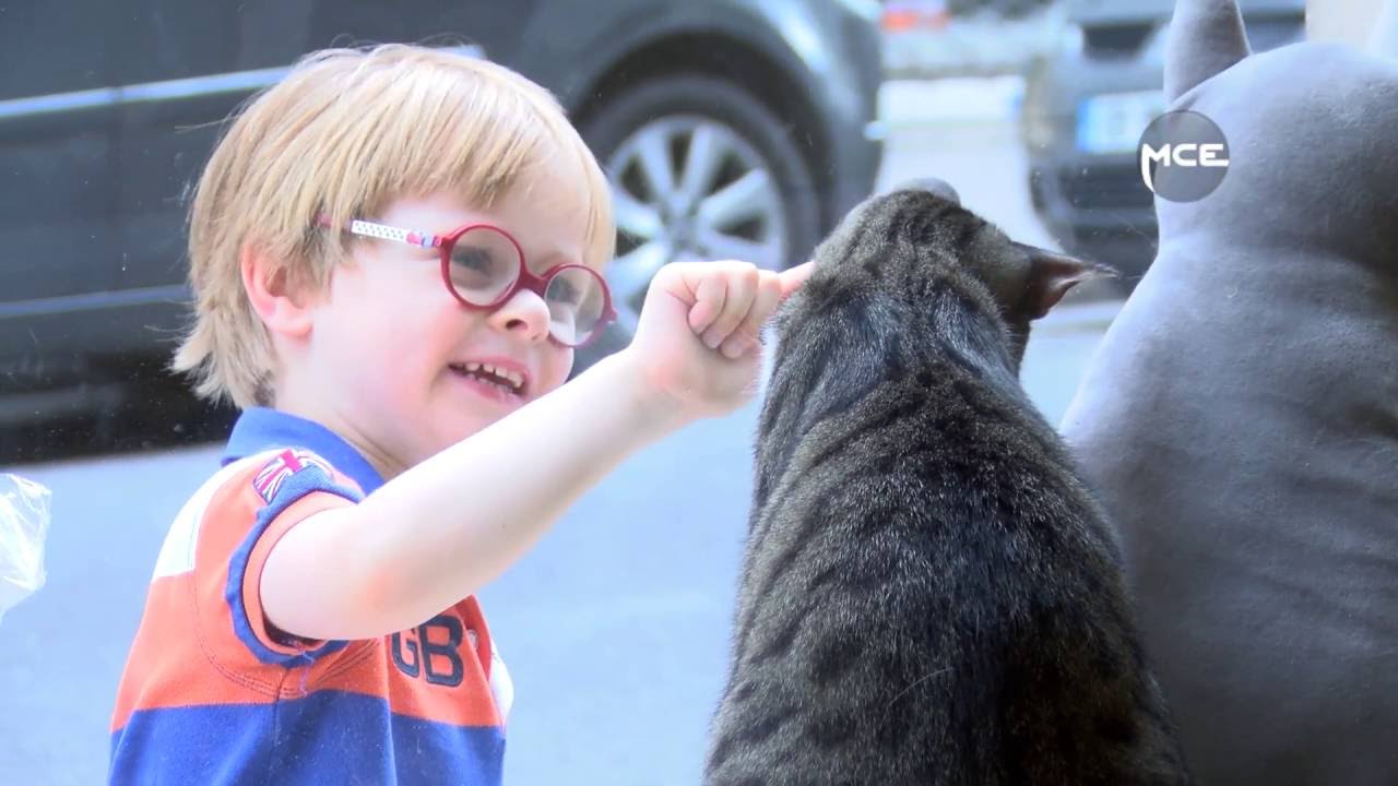 MCE a testé : Le Bar Chat Mallows