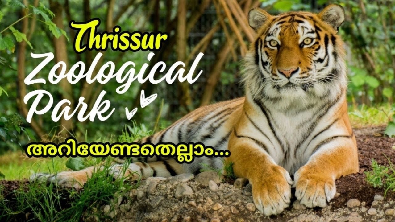 Thrissur Zoological Park | പുത്തൂർ സുവോളജിക്കൽ പാർക്ക് | Thrissue Zoo Tour | Jasmin Nooruniza