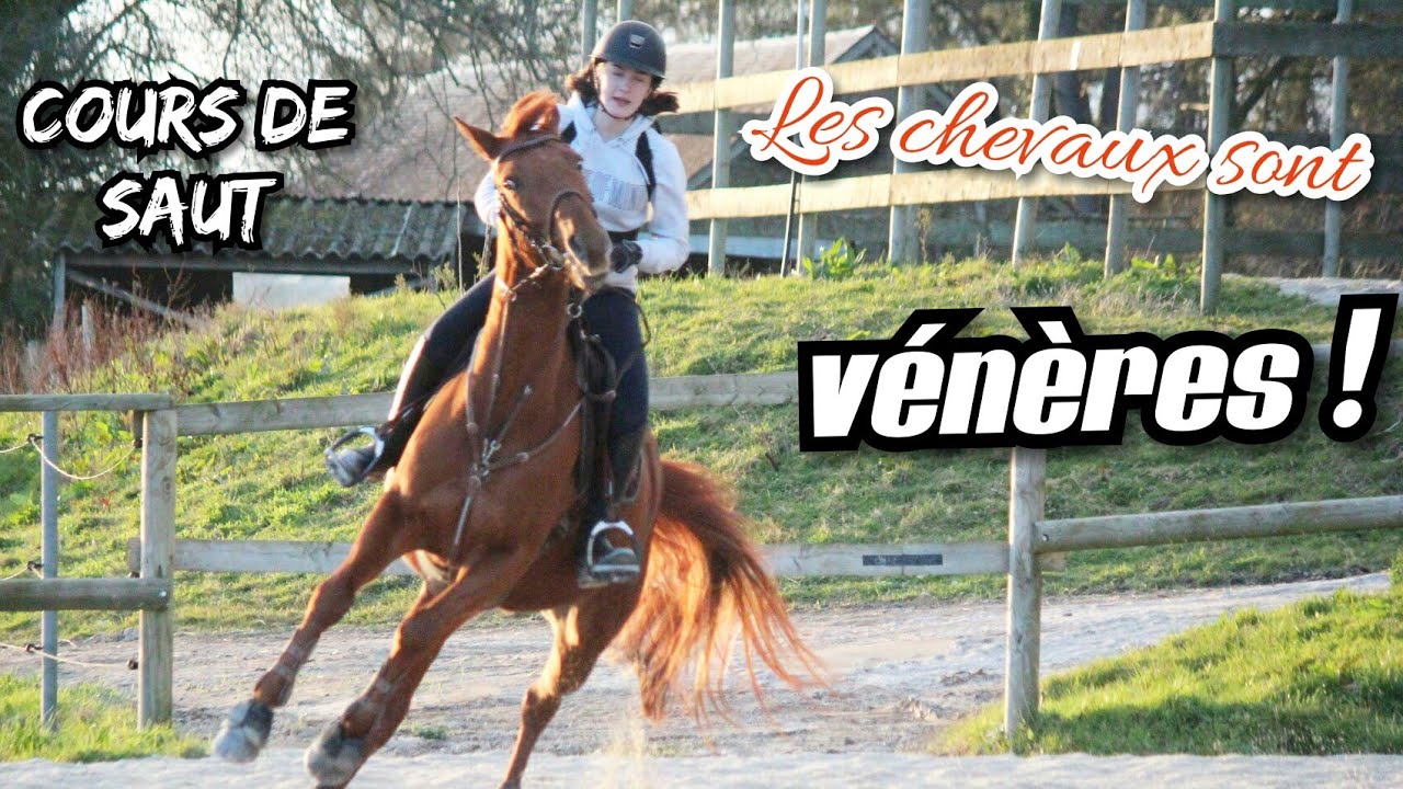 |Saut| Les chevaux sont énervés !!