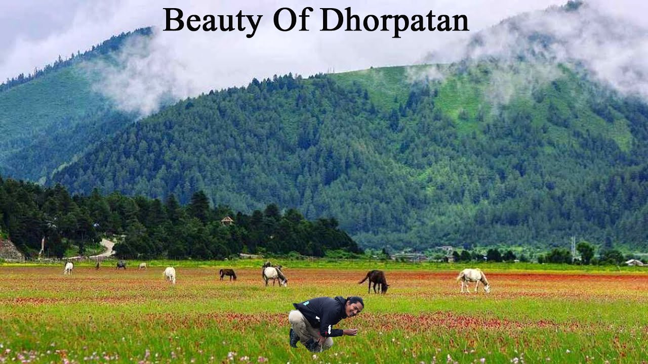 Dhorpatan | Why is Dhorpatan So Popular ? | Dhorpatan hunting reserve | Ranjo is With @RiderBoyBidur